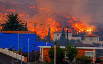 NO ES UN ESPECTÁCULO, ES UNA TRAGEDIA Y CUANDO LLEGUE EL FINAL, COMO SI NADA…