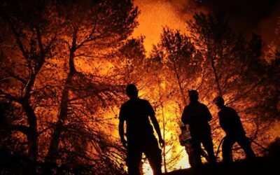 POR UNA LEY QUE PROHIBA CONSTRUIR JAMÁS EN LOS MONTES QUEMADOS